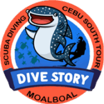 DIVESTORY LOGO