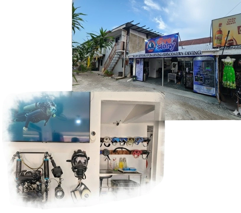 DIVESTORY SHOP